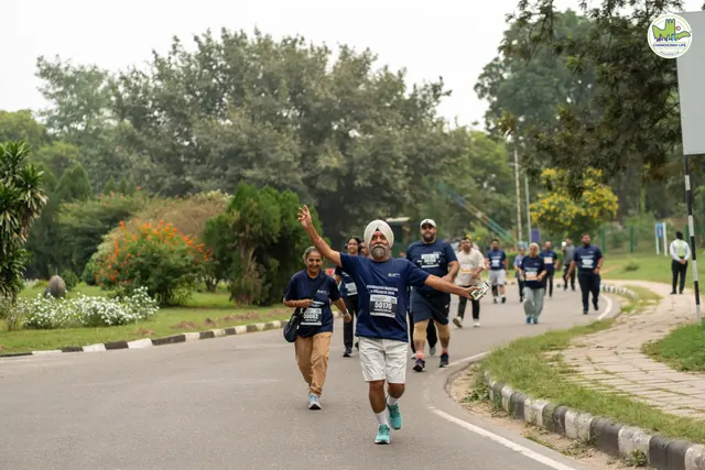 Runners rounding a bend on the tree-lined road