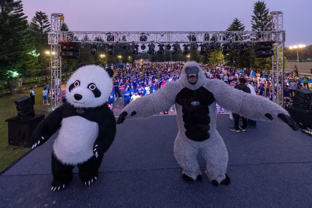 Panda and gorilla mascots in front of the stage